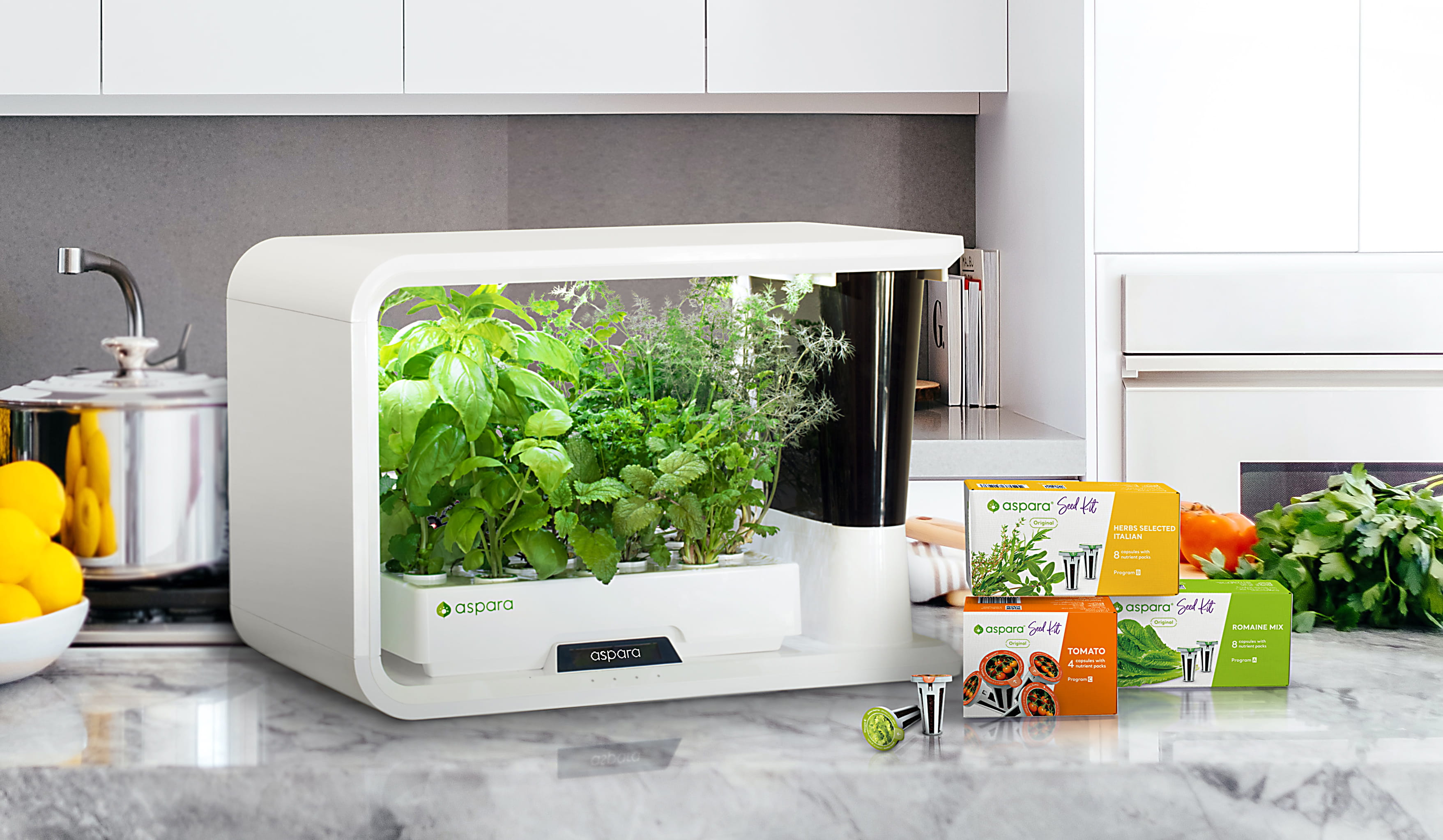 indoor cabinet table counter kitchen food sitting microwave computer refrigerator sink man plate standing board living cutting holding laying
