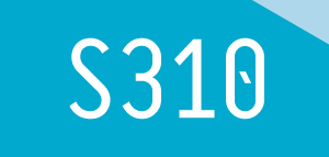 S310